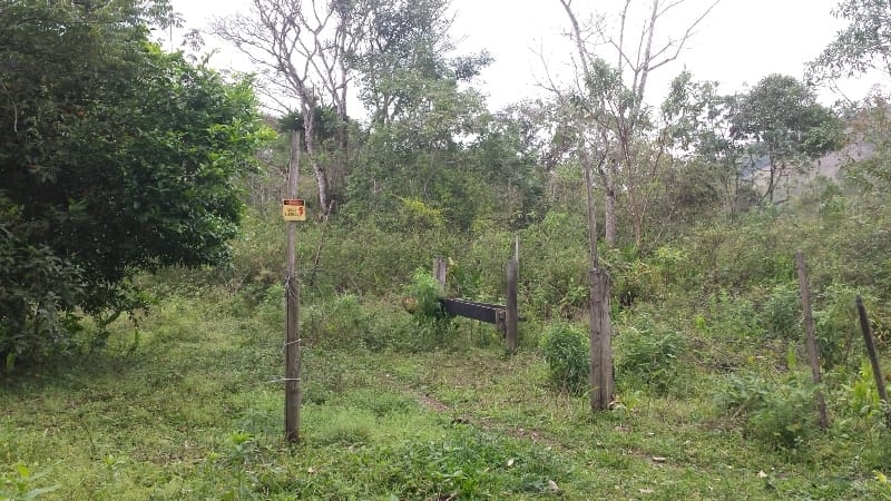 Chácara, 3 quartos, 10000 m² - Foto 56