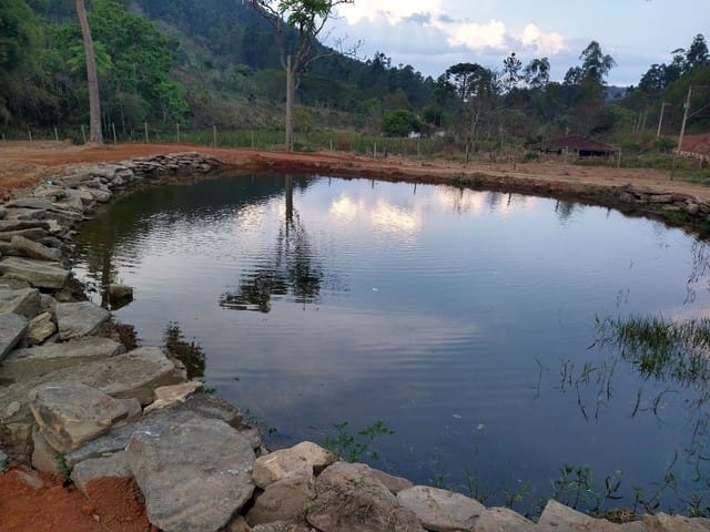 Terreno, 2 hectares - Foto 4