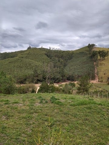 Terreno, 2 hectares - Foto 5