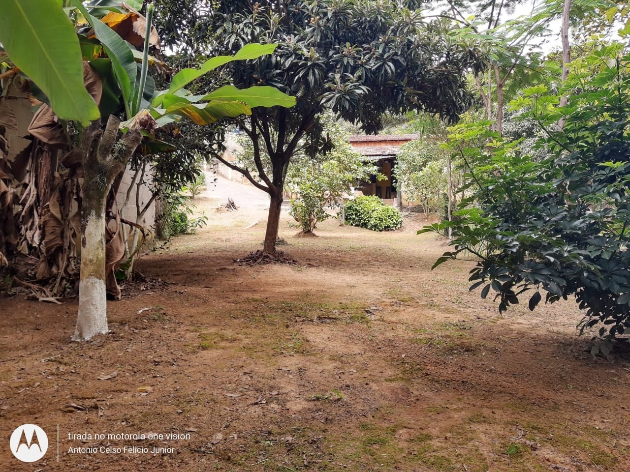 Chácara, 1 quarto, 4000 m² - Foto 4