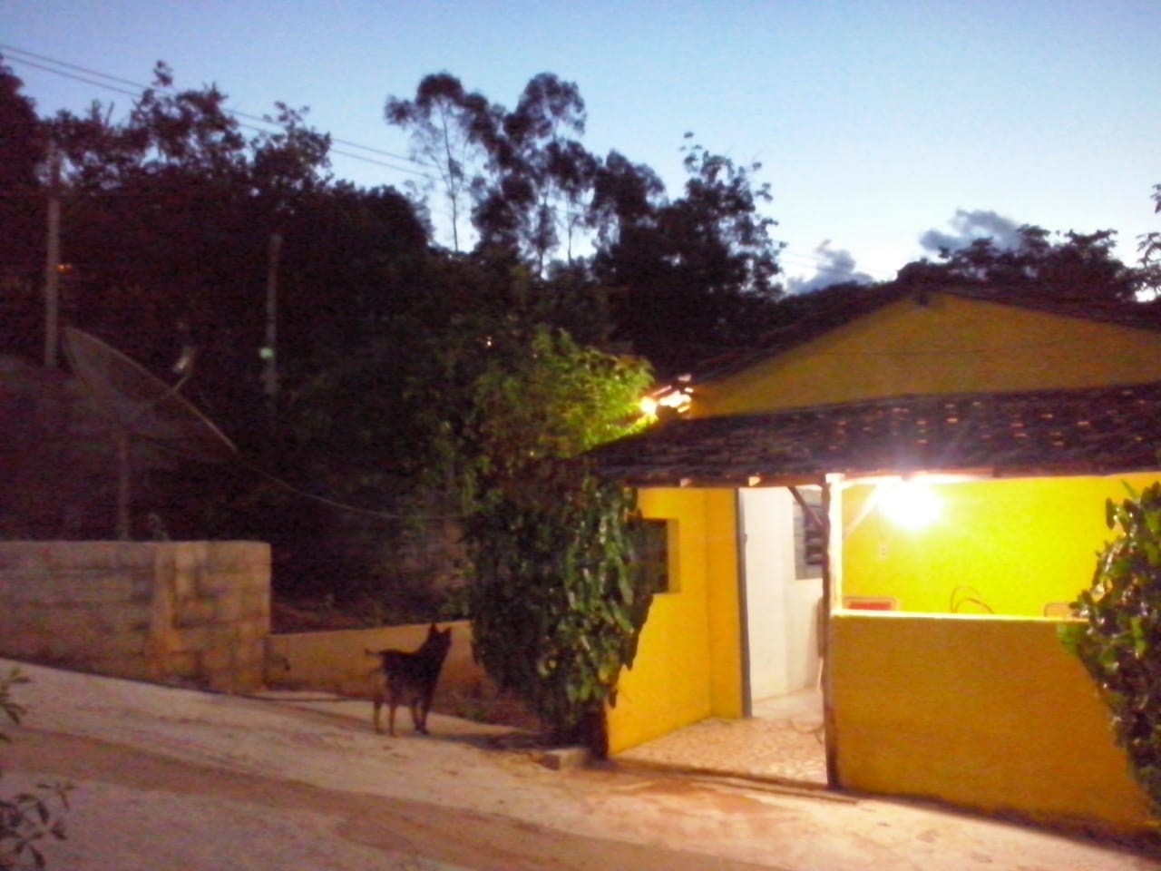 Chácara, 1 quarto, 4000 m² - Foto 6