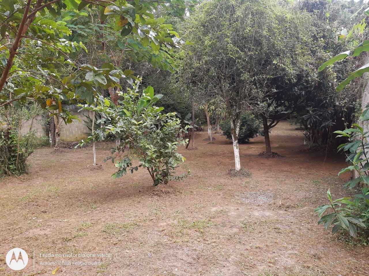 Chácara, 1 quarto, 4000 m² - Foto 8