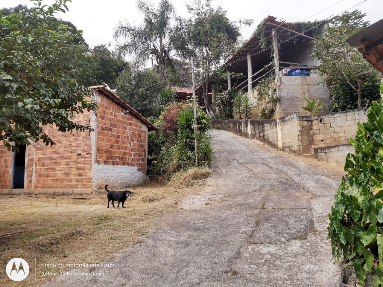 Chácara, 1 quarto, 4000 m² - Foto 9