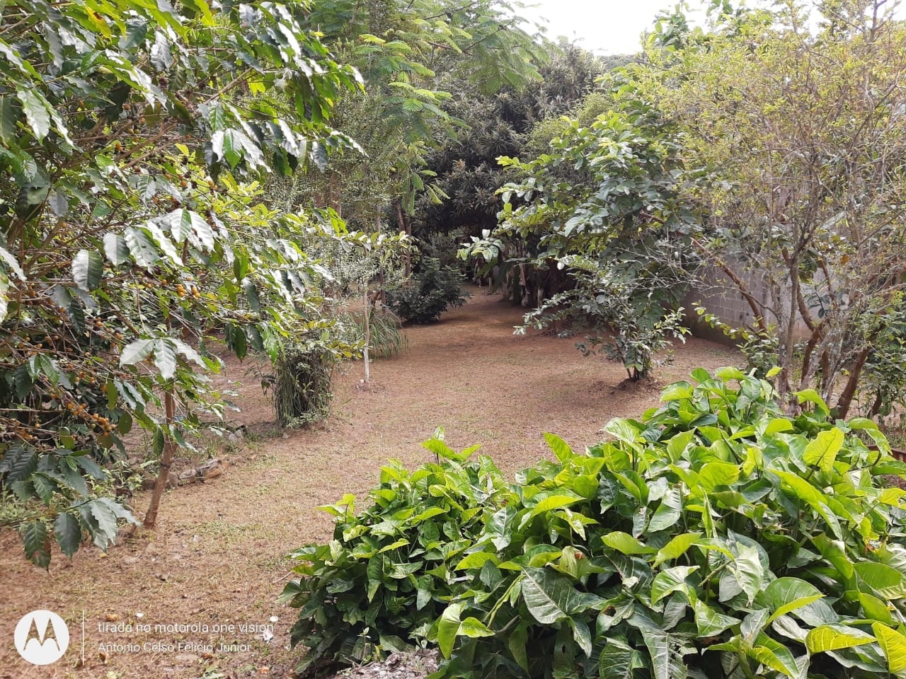 Chácara, 1 quarto, 4000 m² - Foto 11