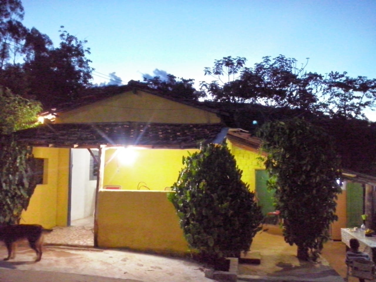 Chácara, 1 quarto, 4000 m² - Foto 13