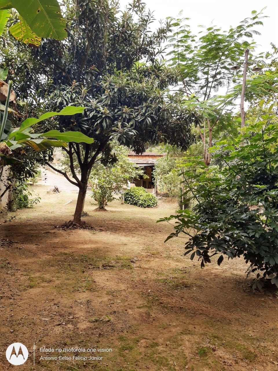 Chácara, 1 quarto, 4000 m² - Foto 16