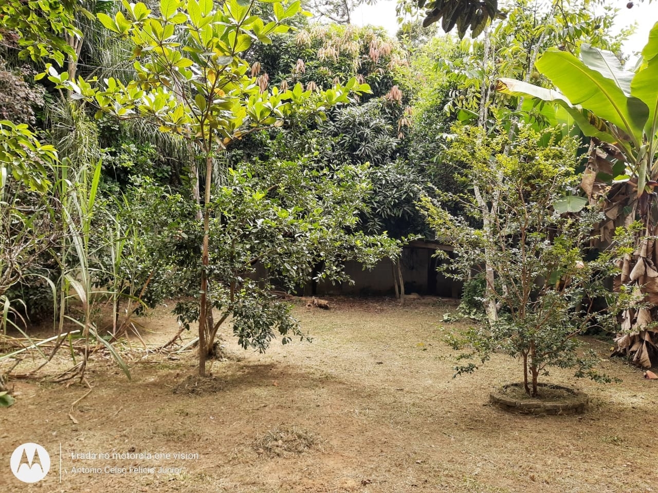 Chácara, 1 quarto, 4000 m² - Foto 17