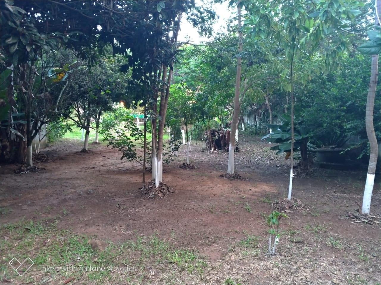 Chácara, 1 quarto, 4000 m² - Foto 21