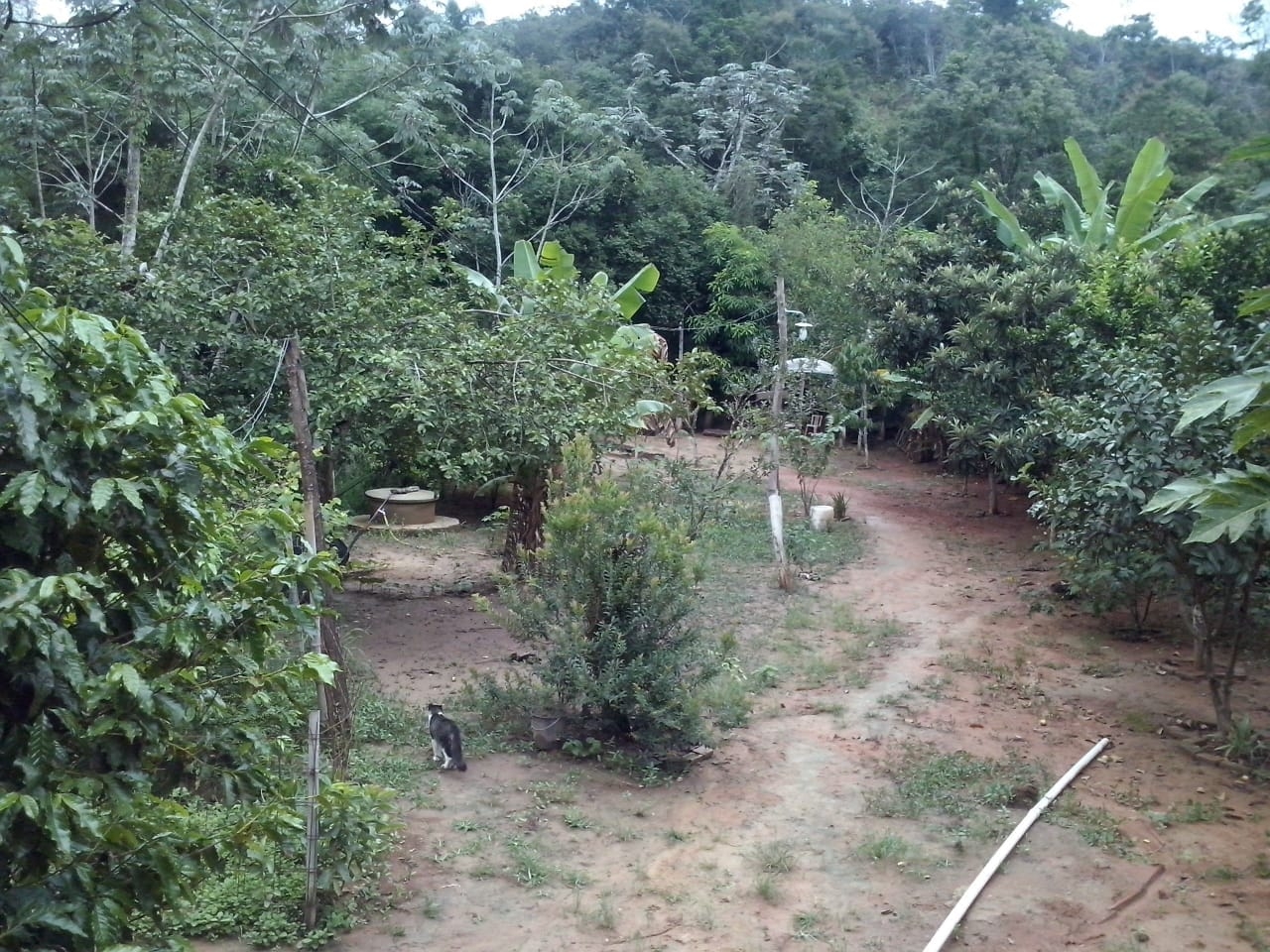 Chácara, 1 quarto, 4000 m² - Foto 23