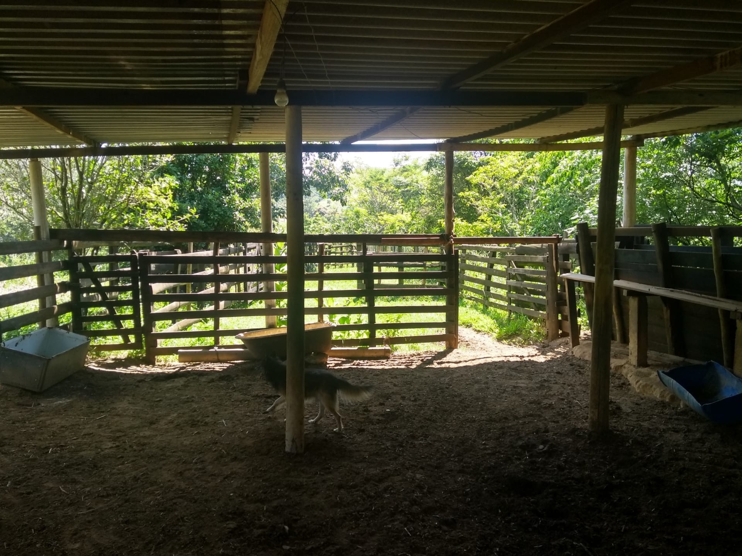 Sítio à venda com 2 quartos, 150m² - Foto 1