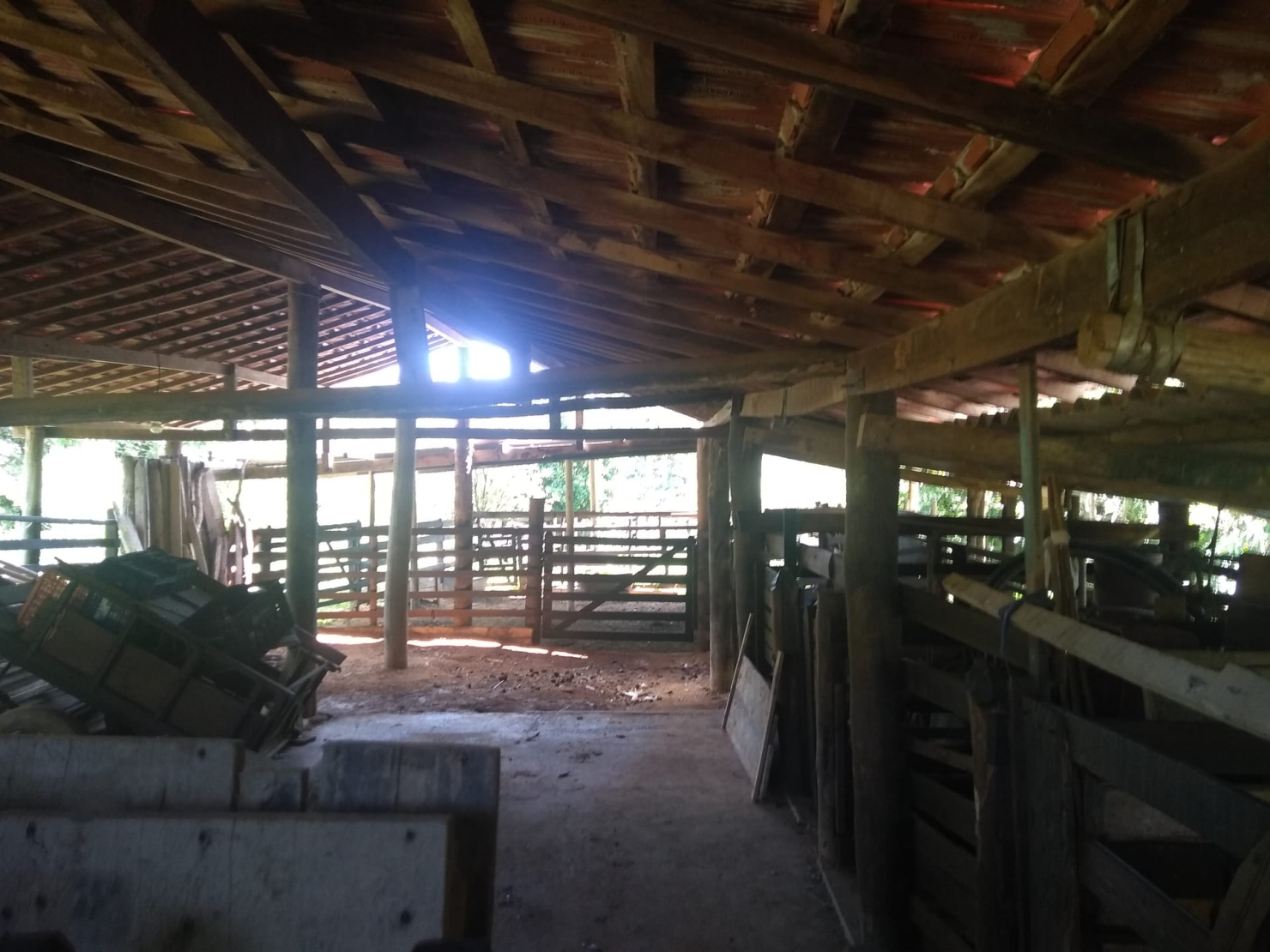 Sítio à venda com 2 quartos, 150m² - Foto 4
