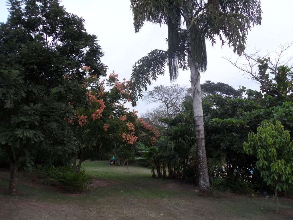 Terreno, 23 hectares - Foto 2