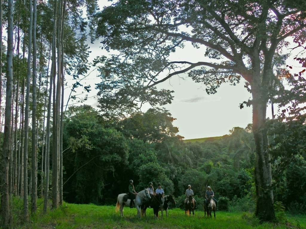 Terreno, 23 hectares - Foto 3