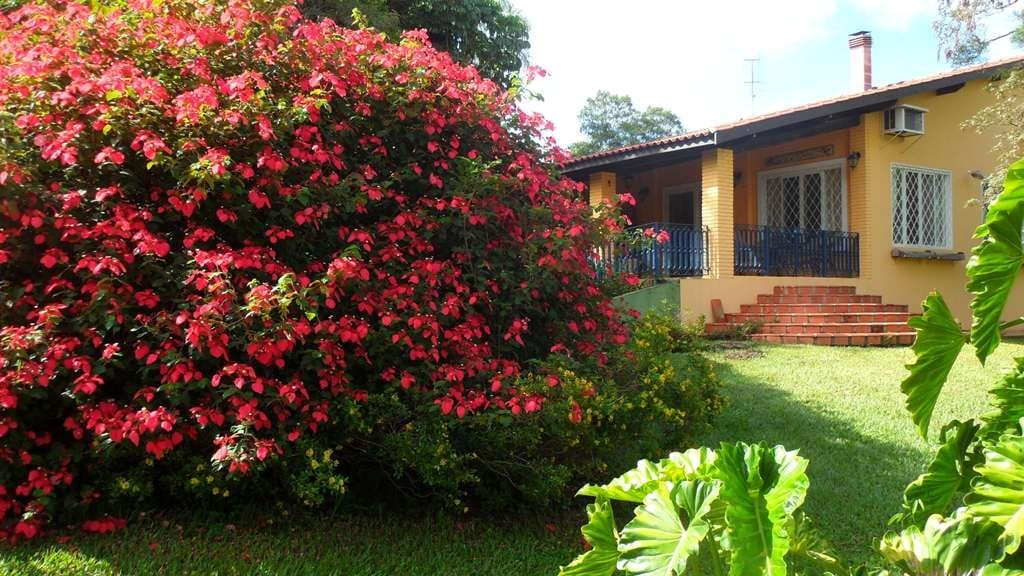 Terreno, 23 hectares - Foto 6