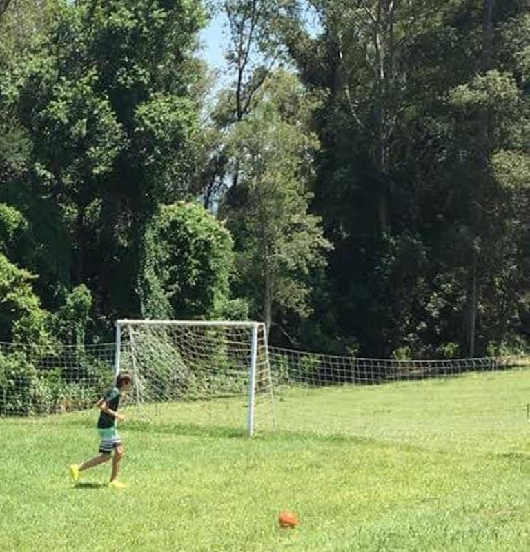 Terreno, 23 hectares - Foto 10