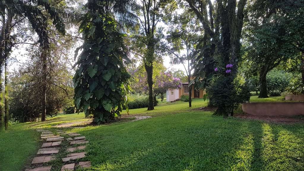 Terreno, 23 hectares - Foto 11