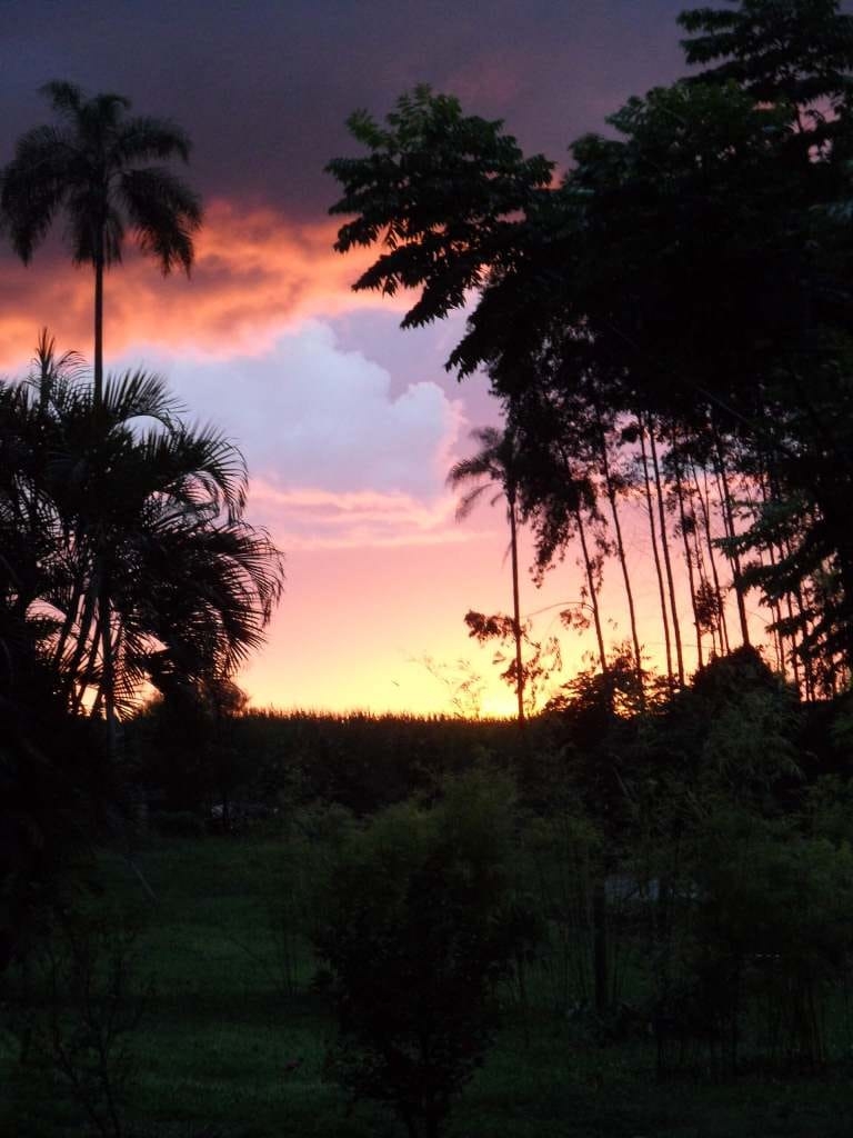 Terreno, 23 hectares - Foto 18