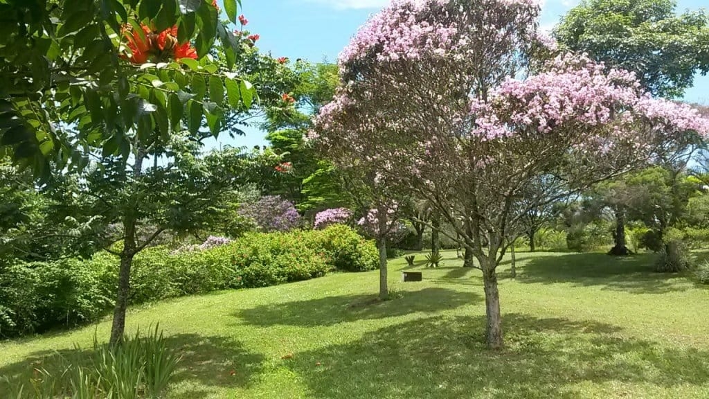 Terreno, 23 hectares - Foto 22