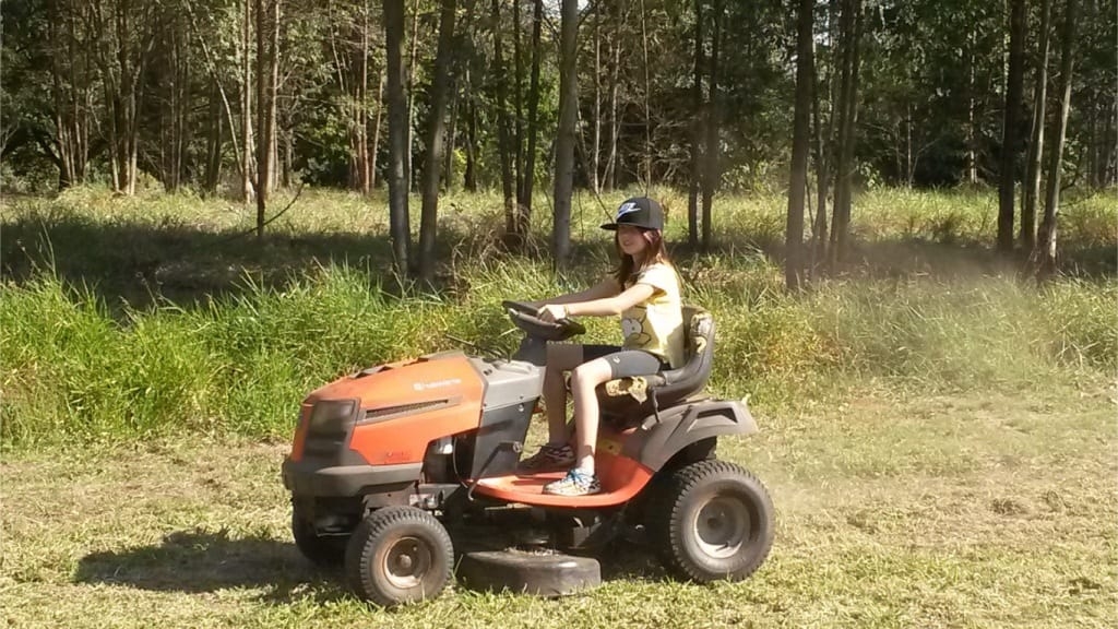 Terreno, 23 hectares - Foto 33