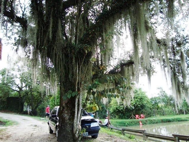 Terreno, 6 hectares - Foto 1