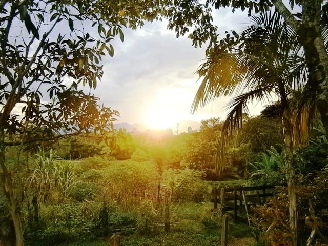 Terreno, 6 hectares - Foto 2