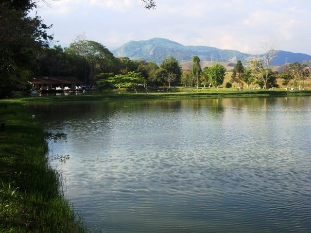 Terreno, 6 hectares - Foto 4