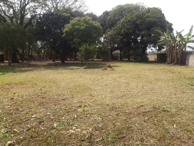 Chácara, 4 quartos - Foto 12