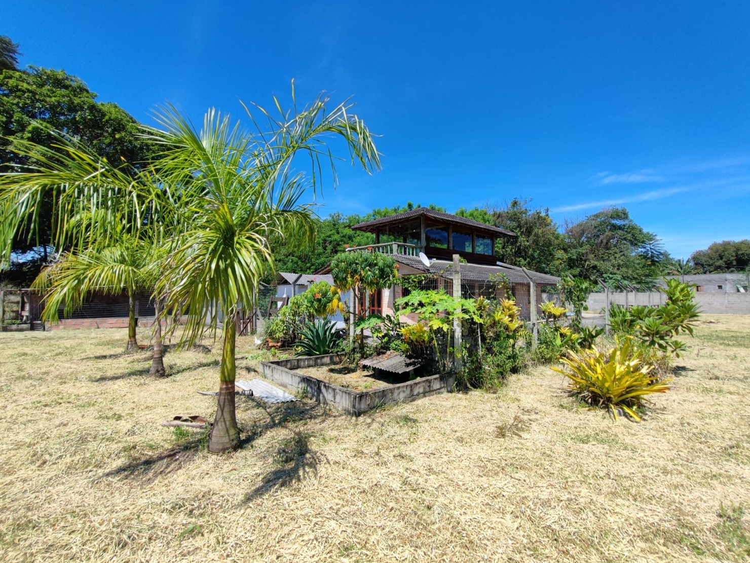 Chácara, 2 quartos, 3200 m² - Foto 3