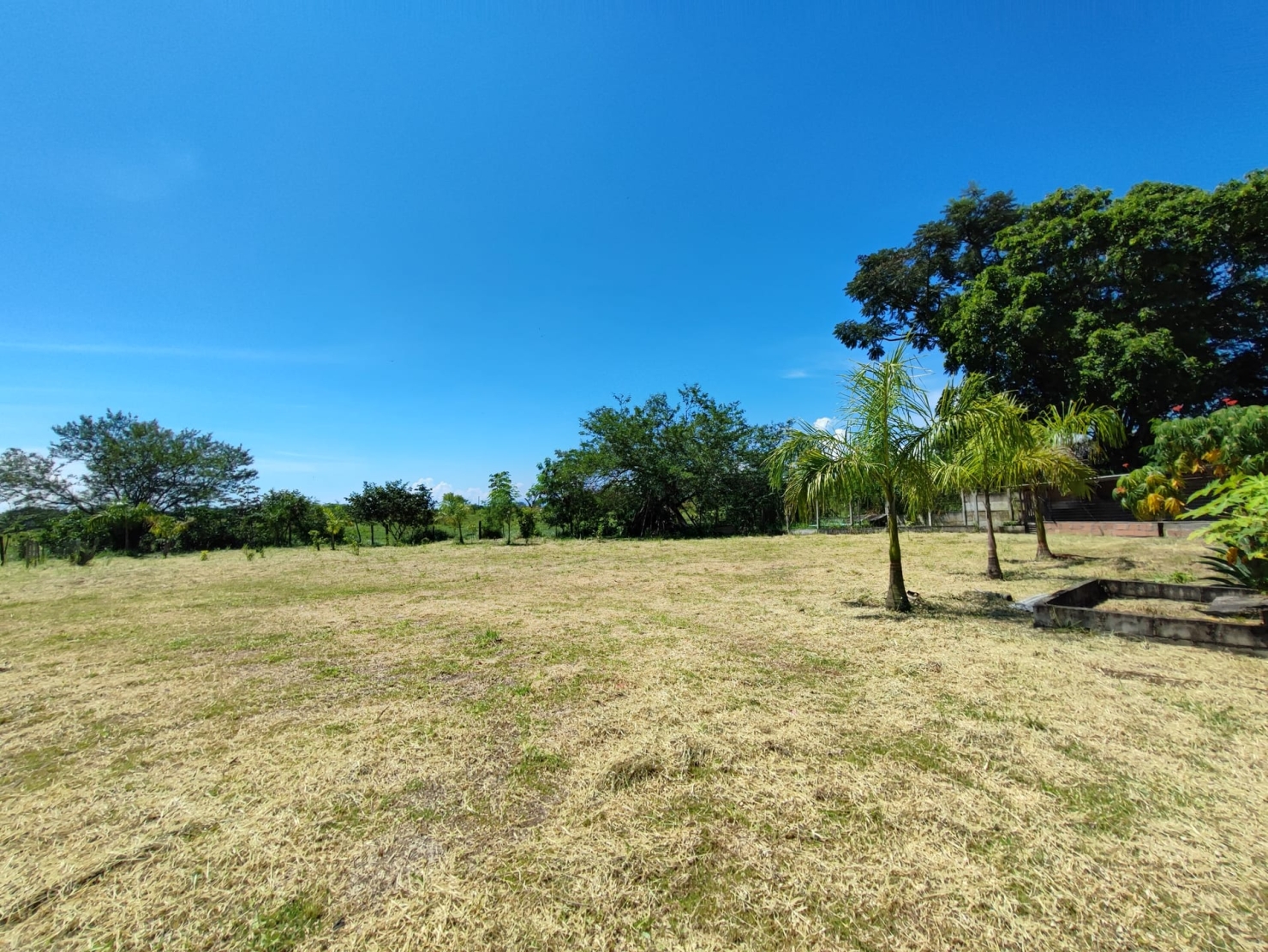 Chácara, 2 quartos, 3200 m² - Foto 4