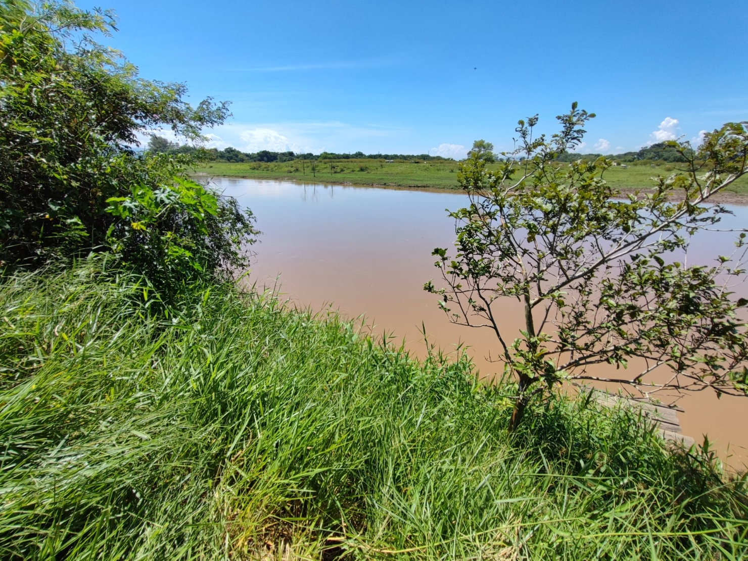 Chácara, 2 quartos, 3200 m² - Foto 23