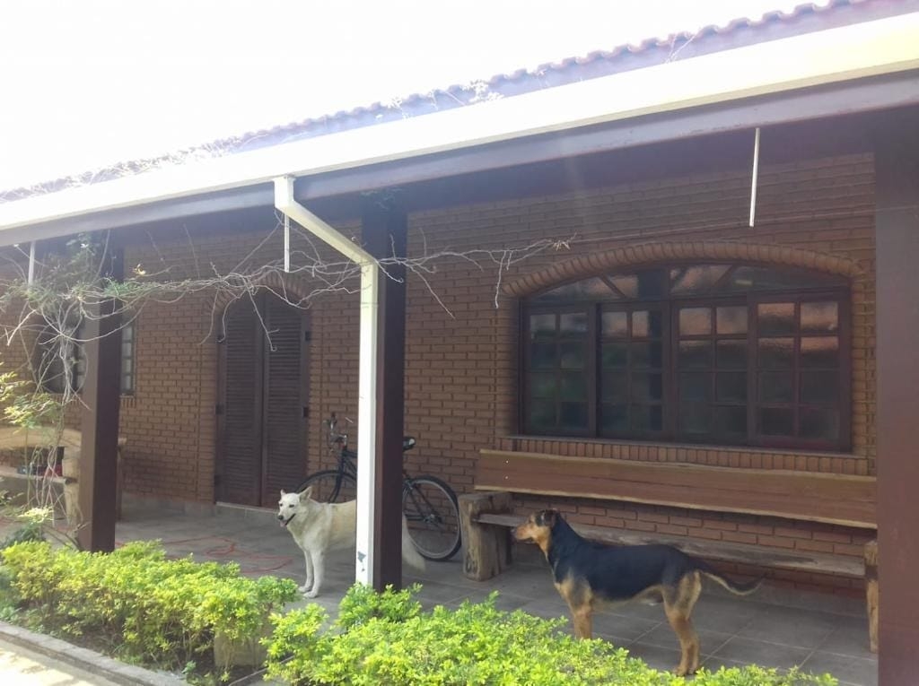 Terreno, 300 m² - Foto 7