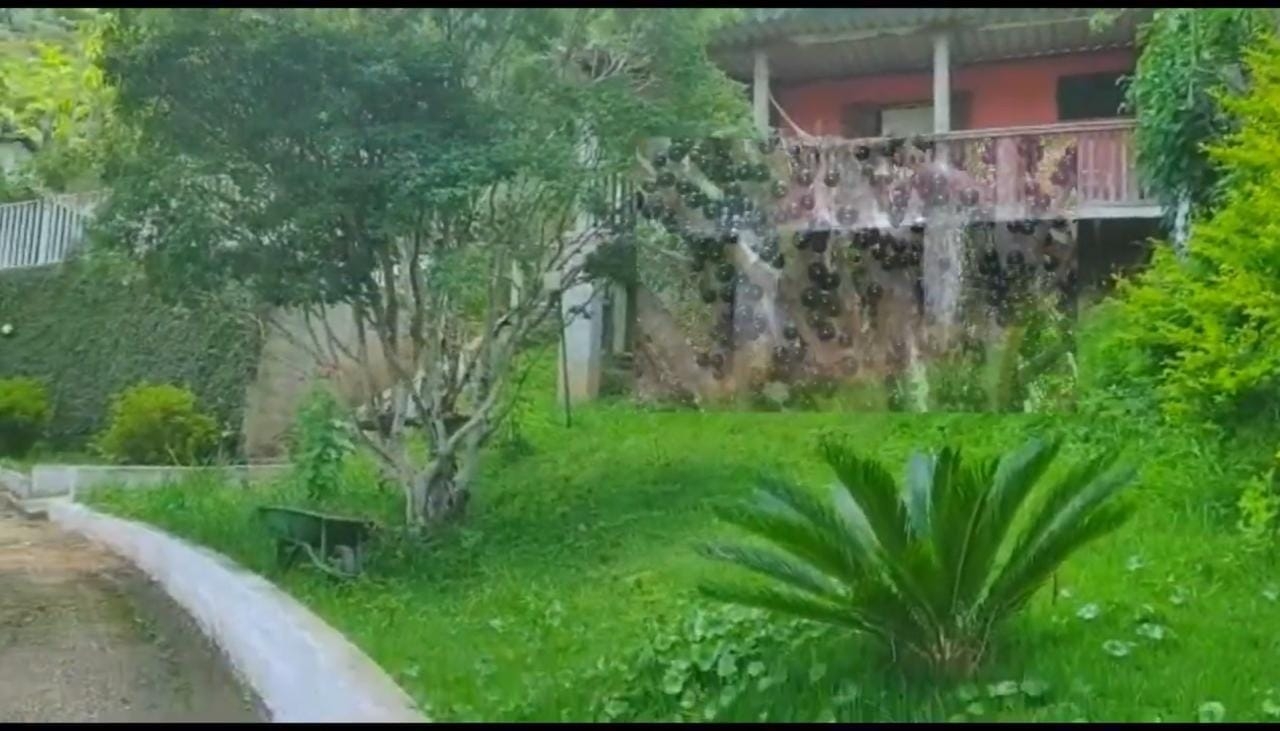 Chácara, 3 quartos, 3 hectares - Foto 13