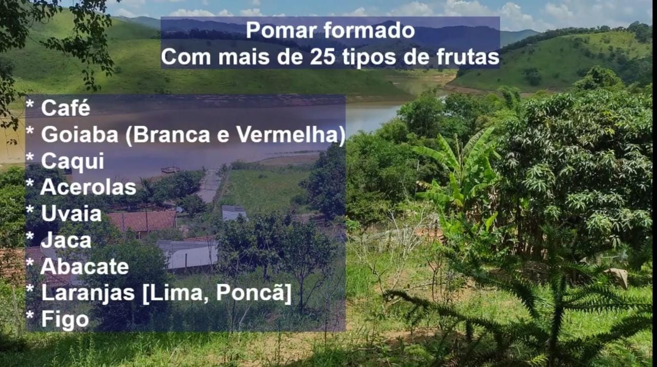 Chácara, 3 quartos, 3 hectares - Foto 19