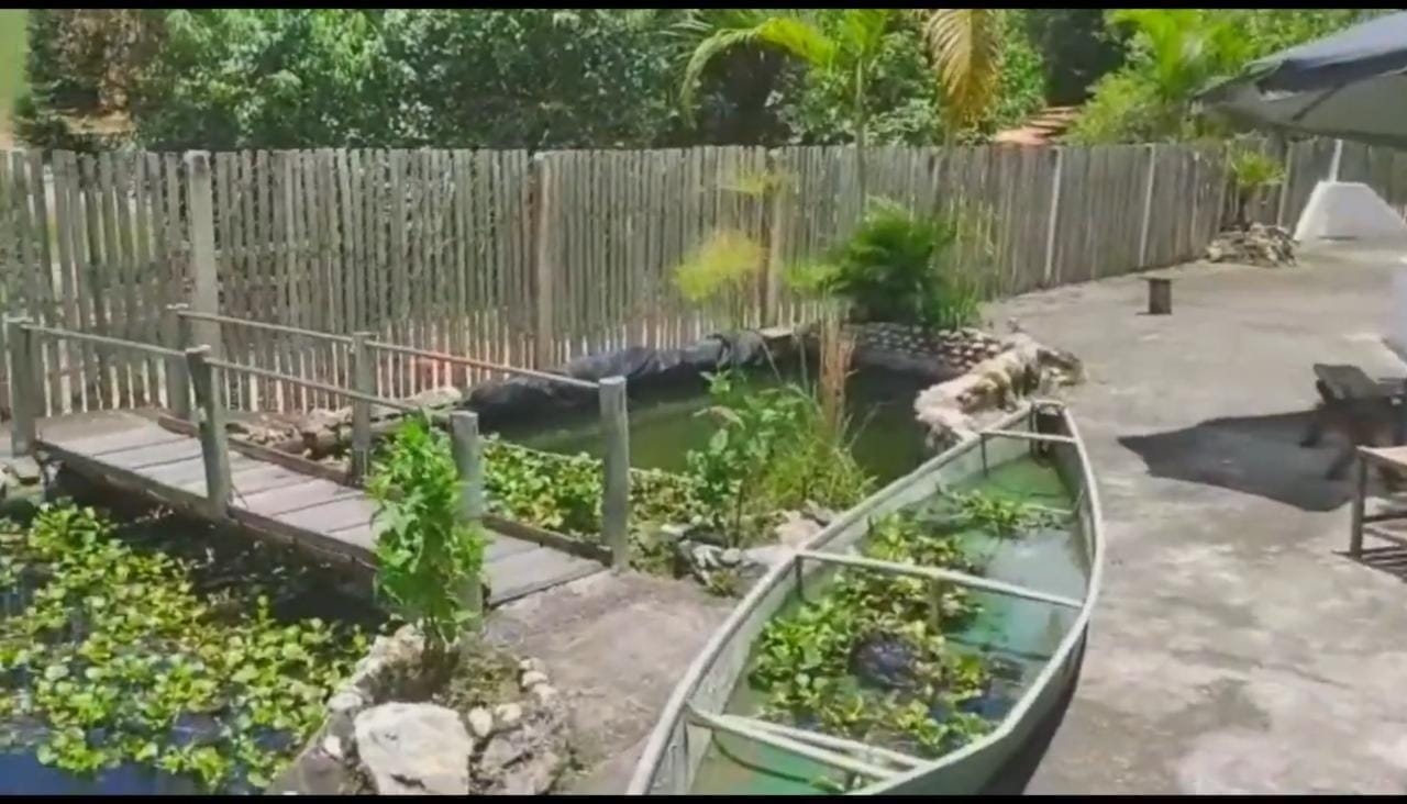 Chácara, 3 quartos, 3 hectares - Foto 24