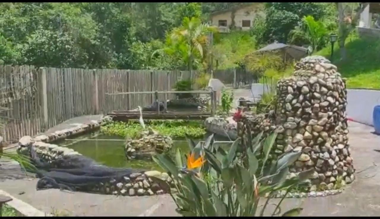 Chácara, 3 quartos, 3 hectares - Foto 26