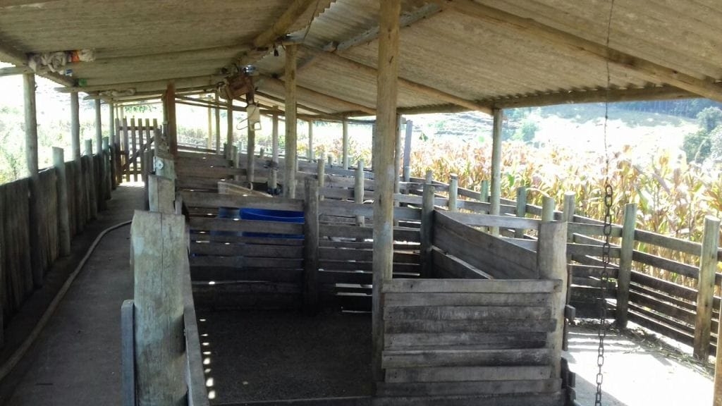 Sítio, 3 quartos, 10 hectares - Foto 5