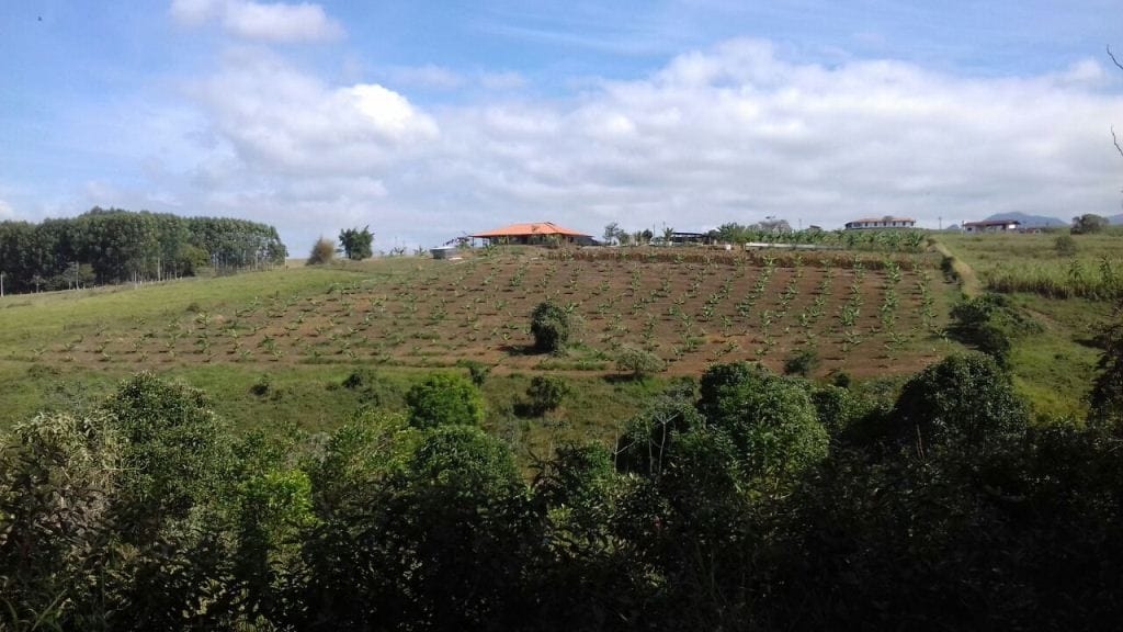 Sítio, 3 quartos, 10 hectares - Foto 6