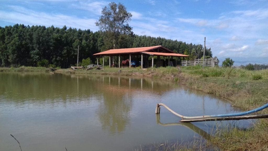 Sítio, 3 quartos, 10 hectares - Foto 10