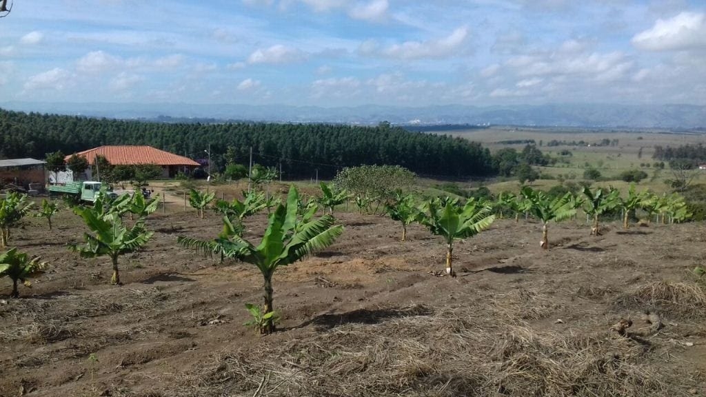 Sítio, 3 quartos, 10 hectares - Foto 11