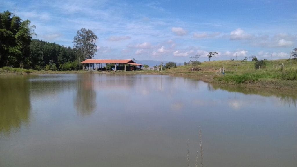 Sítio, 3 quartos, 10 hectares - Foto 14