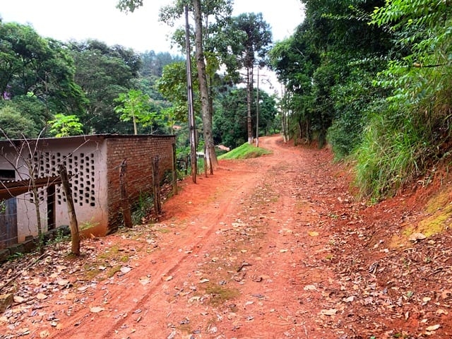 Terreno, 99 hectares - Foto 2