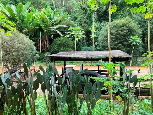 Terreno, 99 hectares - Foto 5