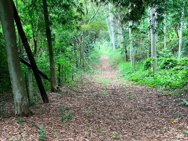 Terreno, 99 hectares - Foto 12