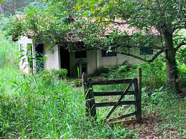 Terreno, 99 hectares - Foto 14