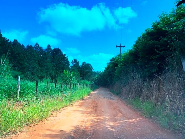 Terreno, 99 hectares - Foto 21