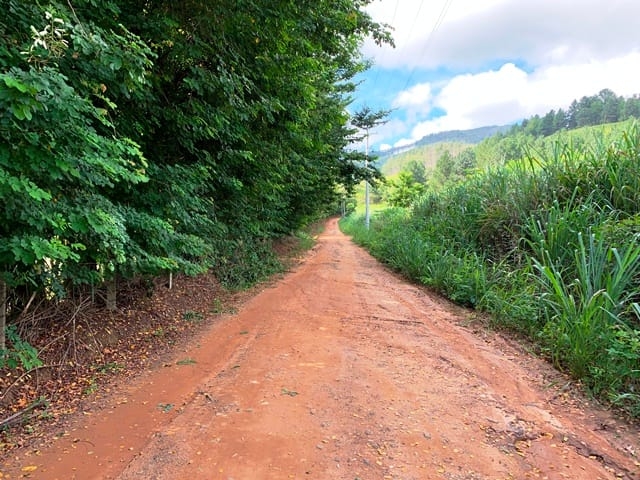 Terreno, 99 hectares - Foto 22