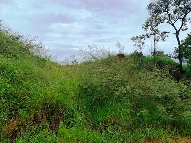 Terreno à venda, 1666m² - Foto 1