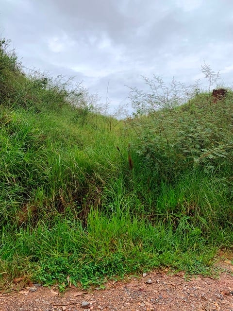Terreno à venda, 1666m² - Foto 3