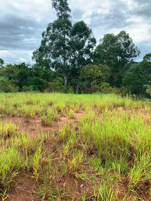 Terreno à venda, 1666m² - Foto 5
