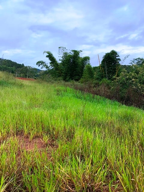 Terreno à venda, 1666m² - Foto 6
